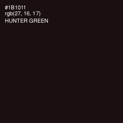 #1B1011 - Hunter Green Color Image